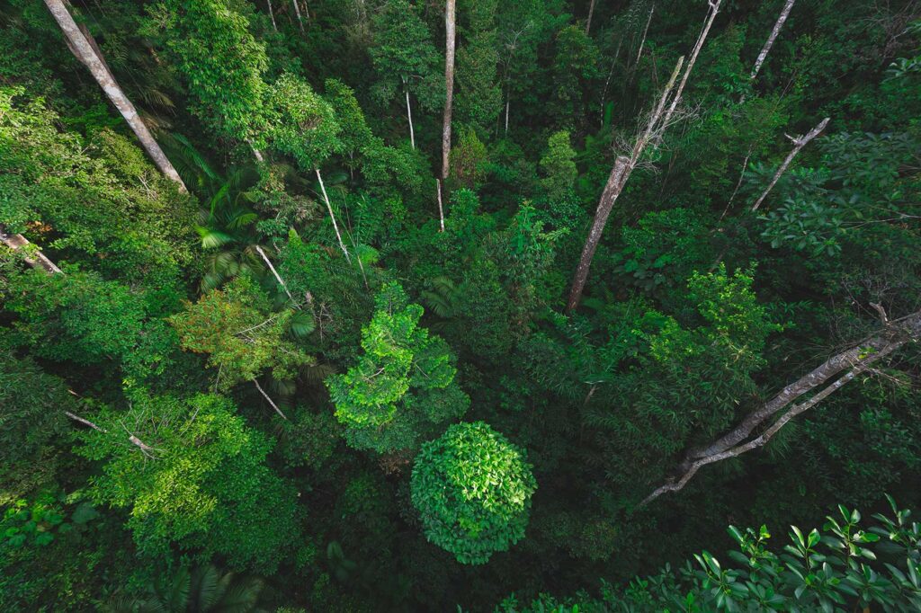Environmental