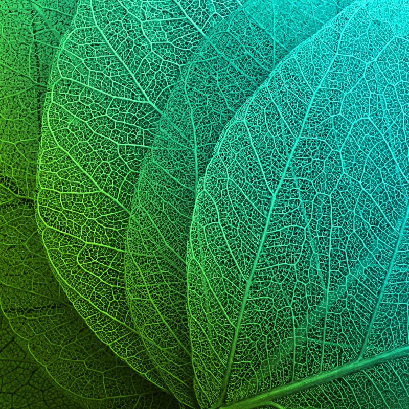 environmental-texture